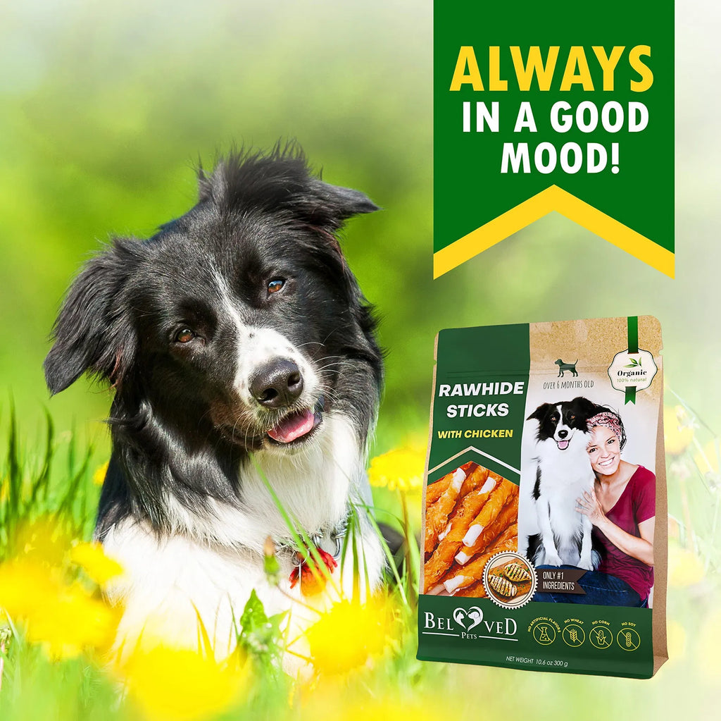 Dog Sticks Wrapped with Chicken, Natural Chew Treats Grain Free Organic Meat & Human Grade Dried Snacks In Bulk for Dogs