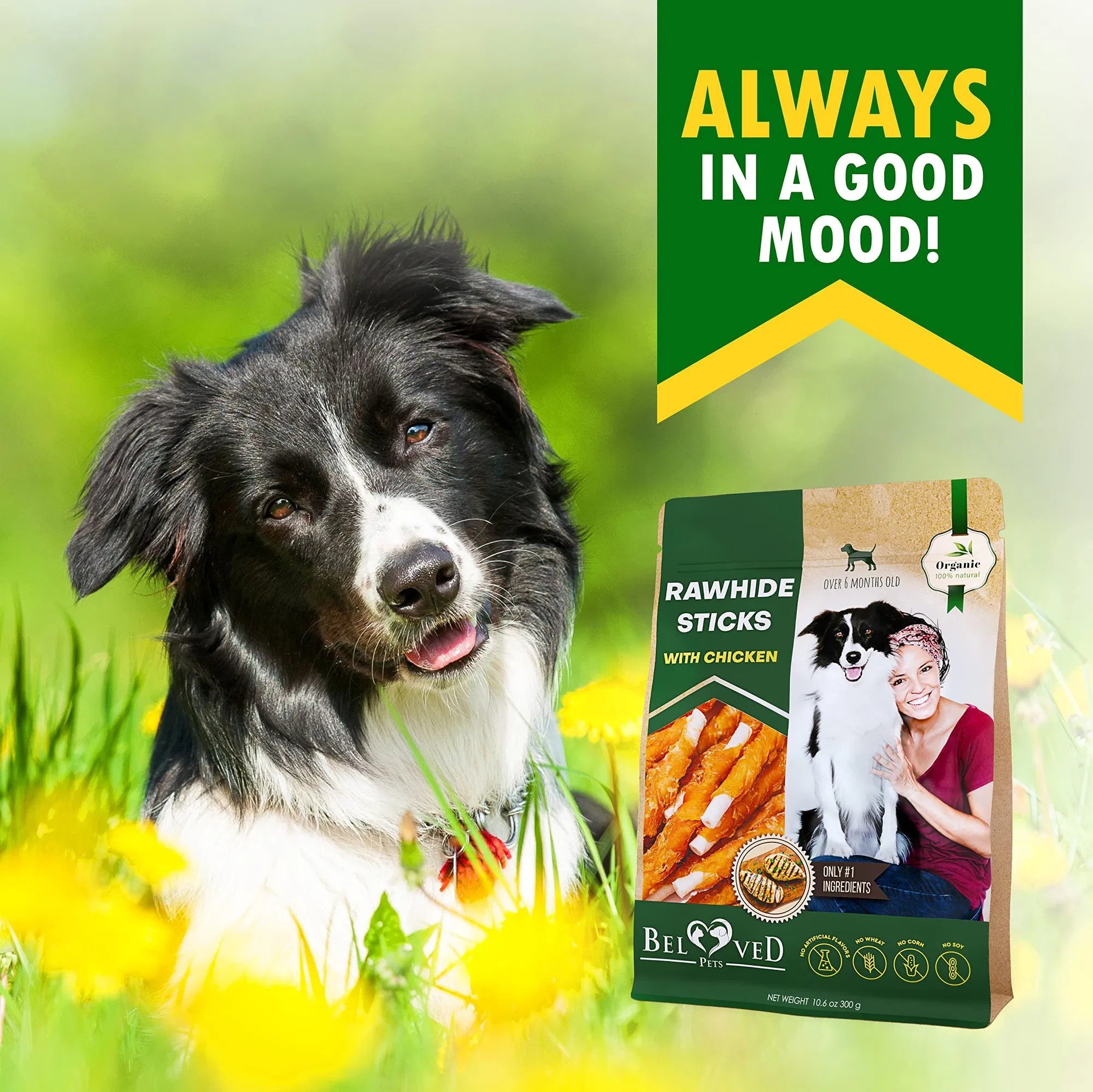 Dog Sticks Wrapped with Chicken, Natural Chew Treats Grain Free Organic Meat & Human Grade Dried Snacks In Bulk for Dogs